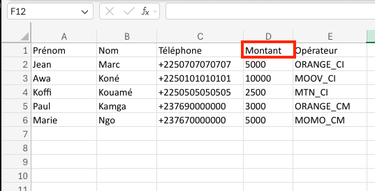 Image : Saisie du montant
